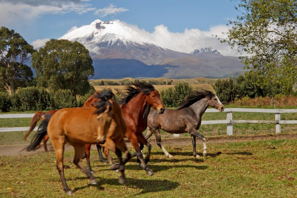 Hacienda San Agustin De Callo Lasso 외부 사진