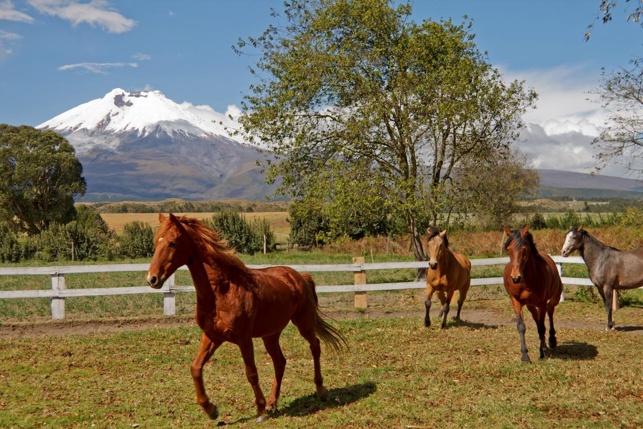 Hacienda San Agustin De Callo Lasso 외부 사진